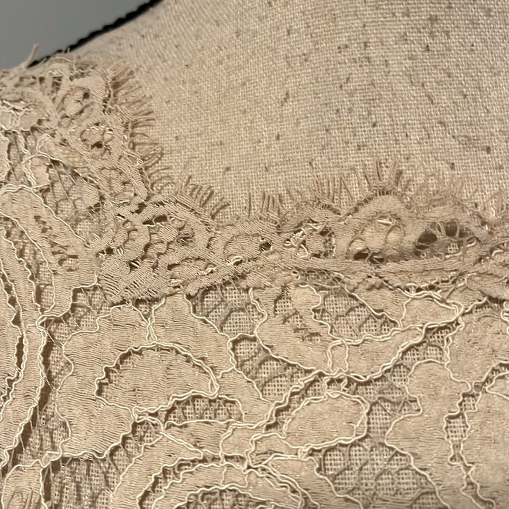 Tadashi Shoji Chantilly Lace Gown - Picture 3 of 15